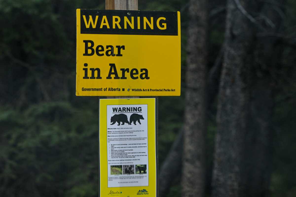 Yellow sign warning of bears in Alberta forested area.