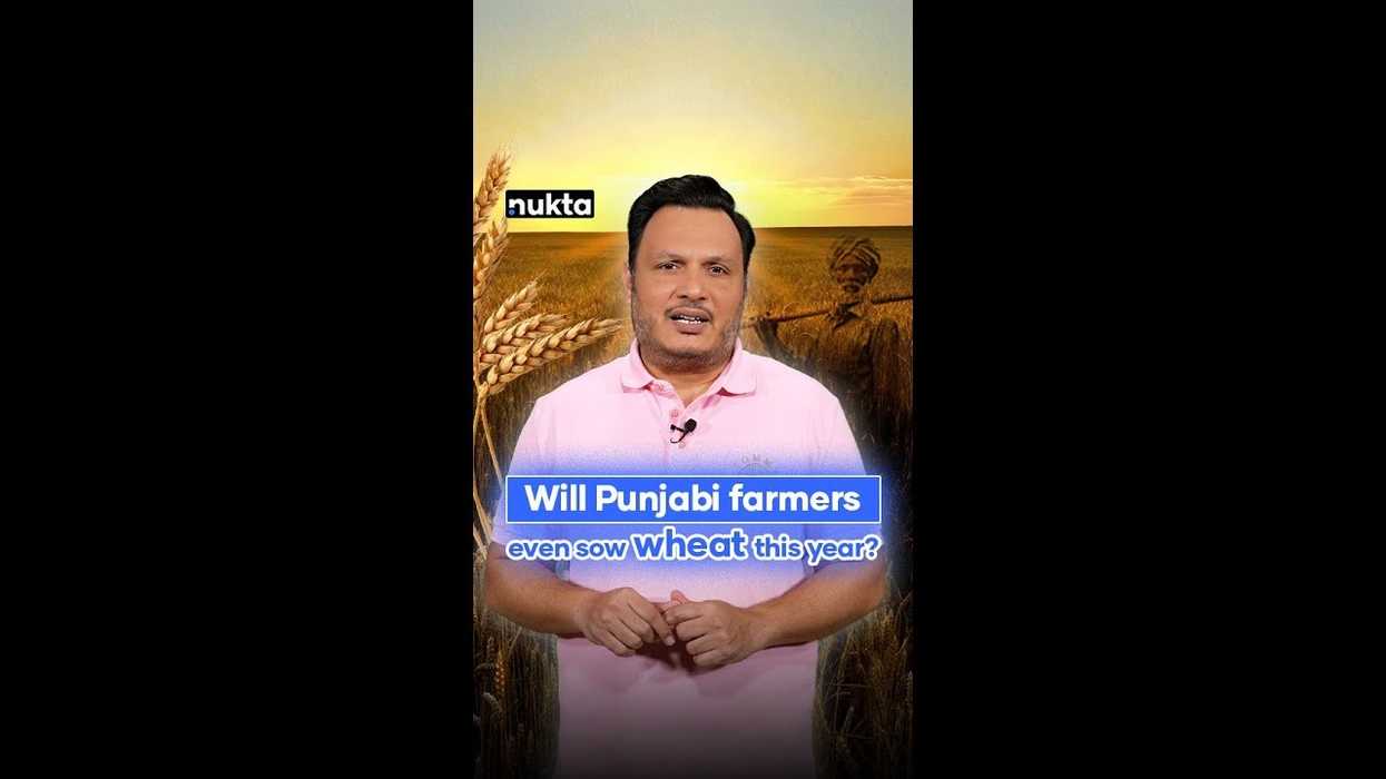 After last year's massive loss, will Punjab's farmers even sow wheat again?