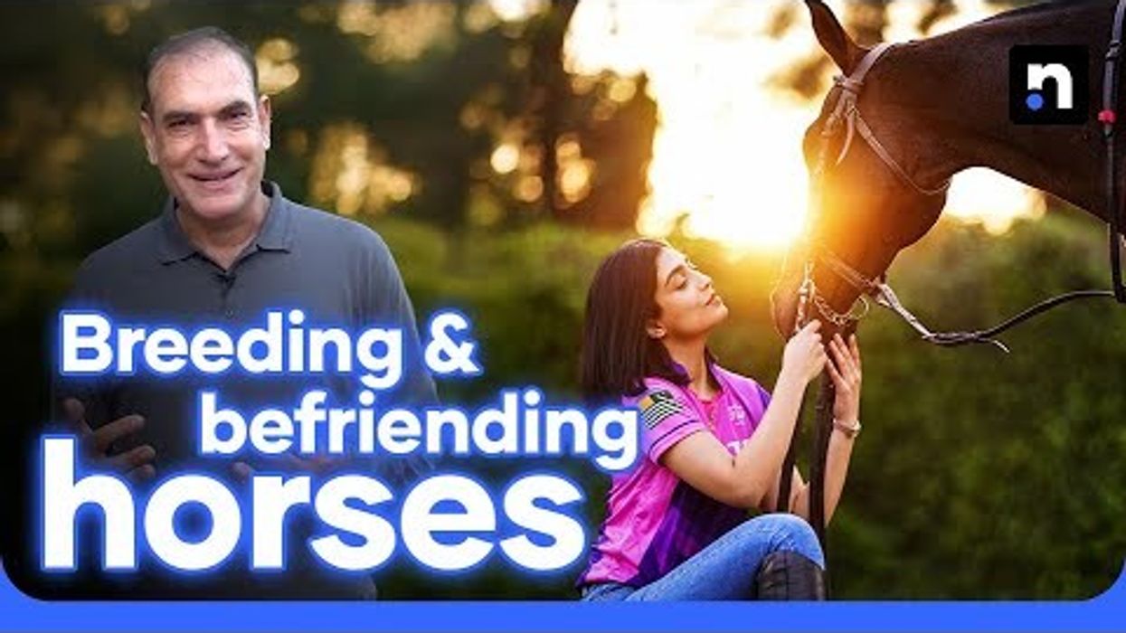 Everything you need to know about horse breeding and riding in Pakistan