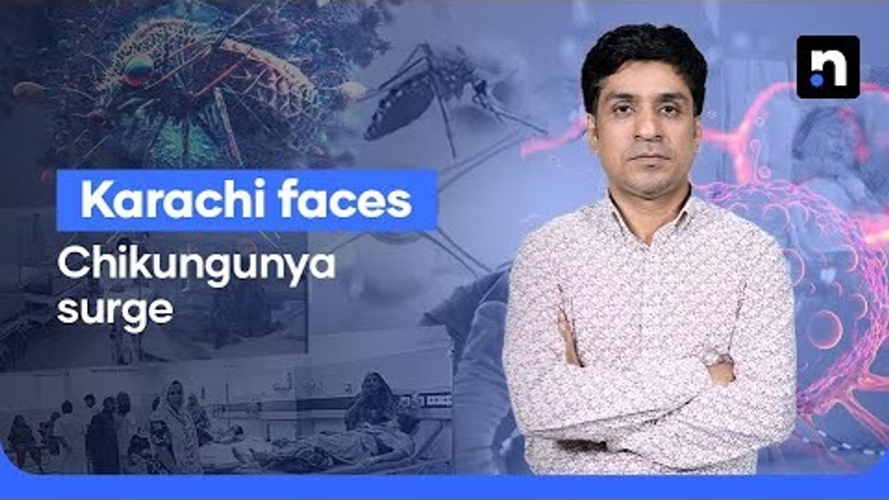 Are you at risk? Understanding the Chikungunya outbreak