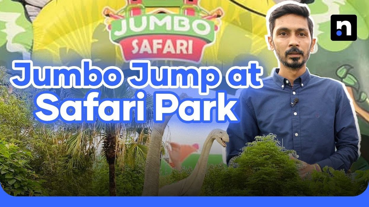 Jumbo Jump at Safari Park