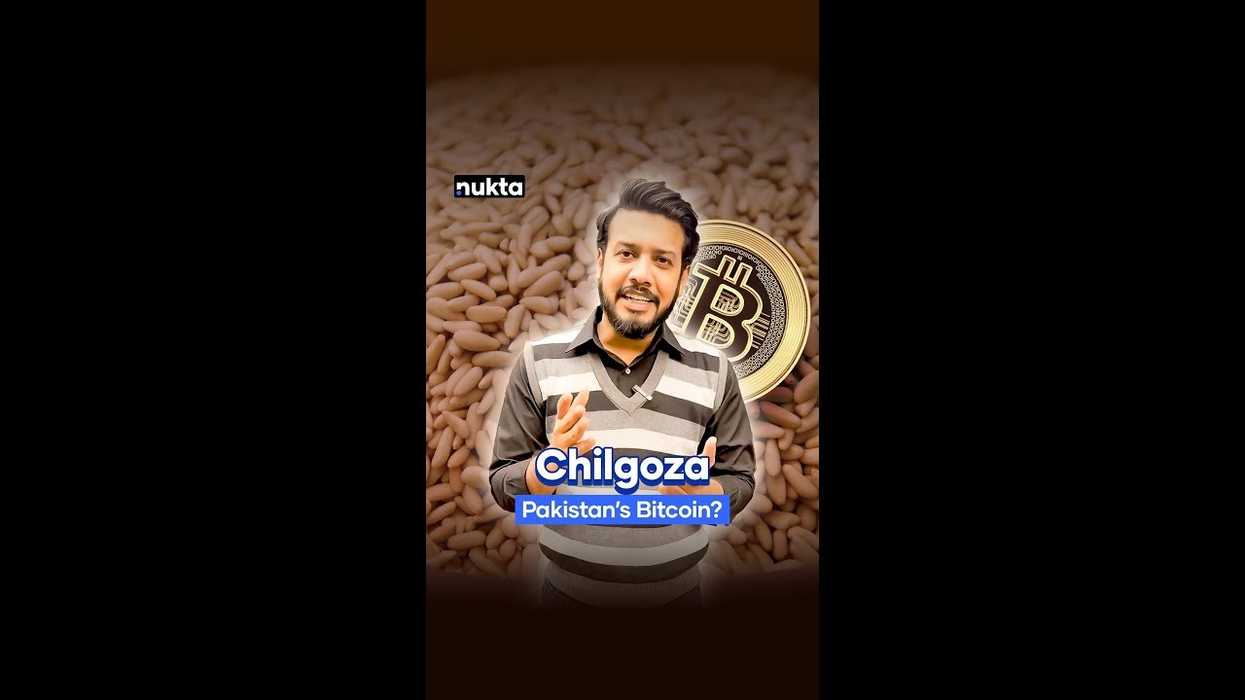 Is chilgoza a luxury nut or the next big investment?