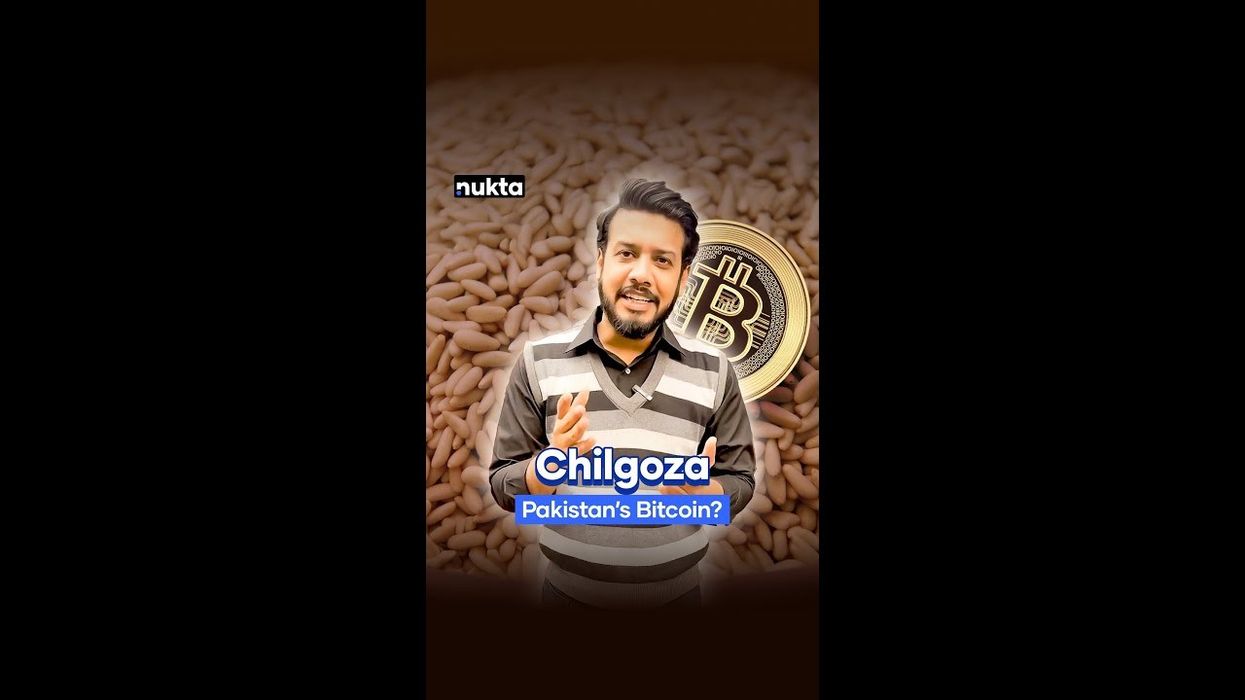 Is chilgoza a luxury nut or the next big investment?