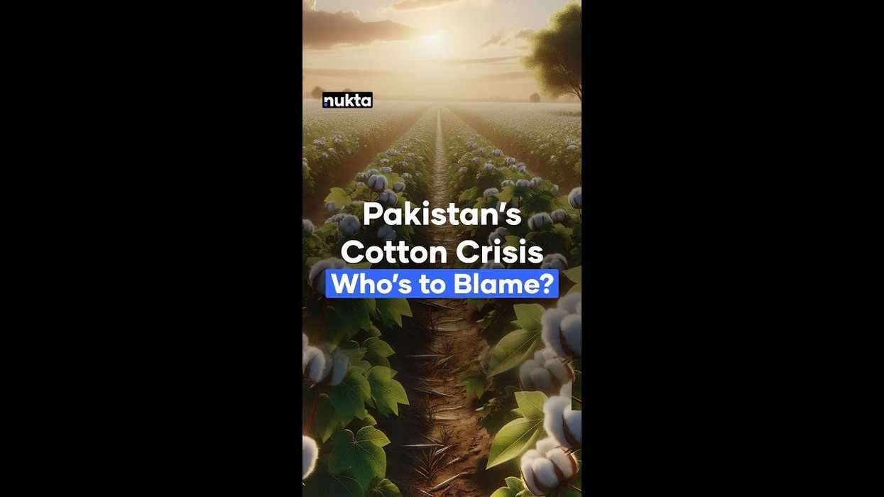 Pakistan's cotton production continues to be drastically lower than target