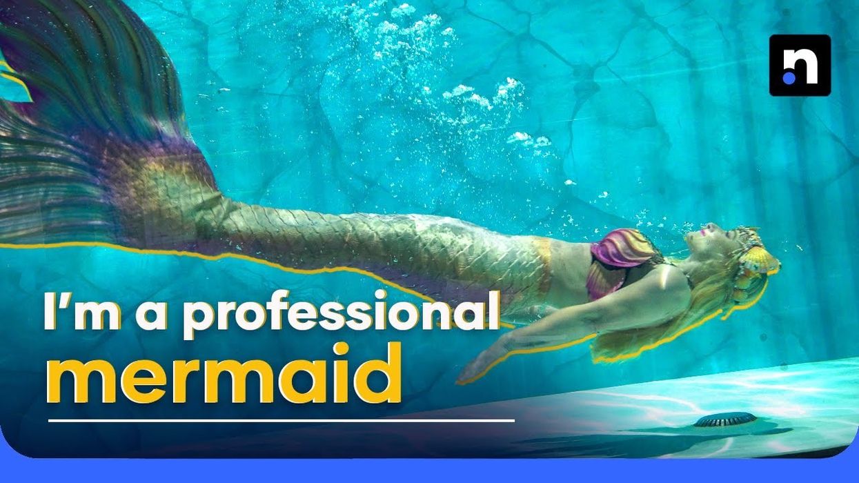 The tale behind the tail: What it takes to be a professional mermaid