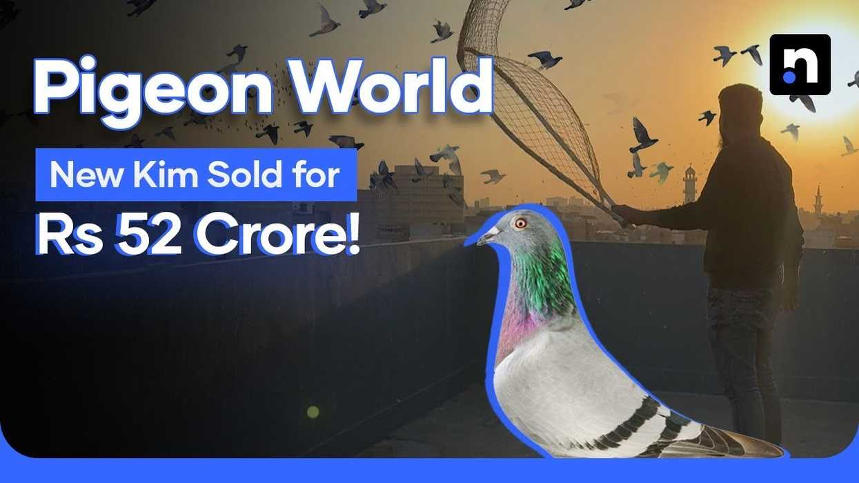 Pigeon racing: Pakistan’s passion rooted in history