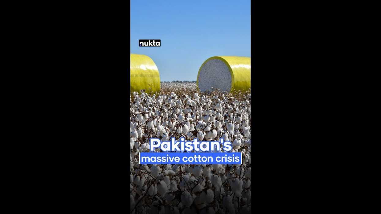 Pakistan's cotton production falls to lowest in 4 decades