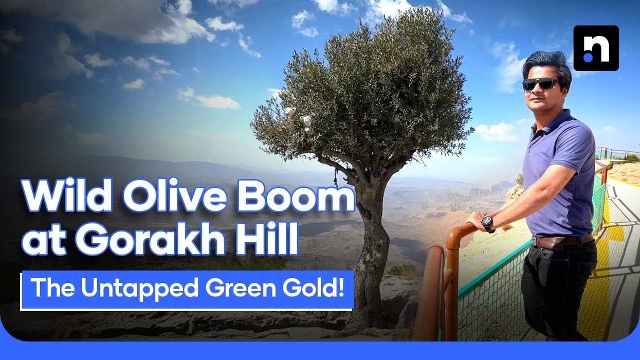 Gorakh Hill’s transformation into Sindh’s first Olive Valley