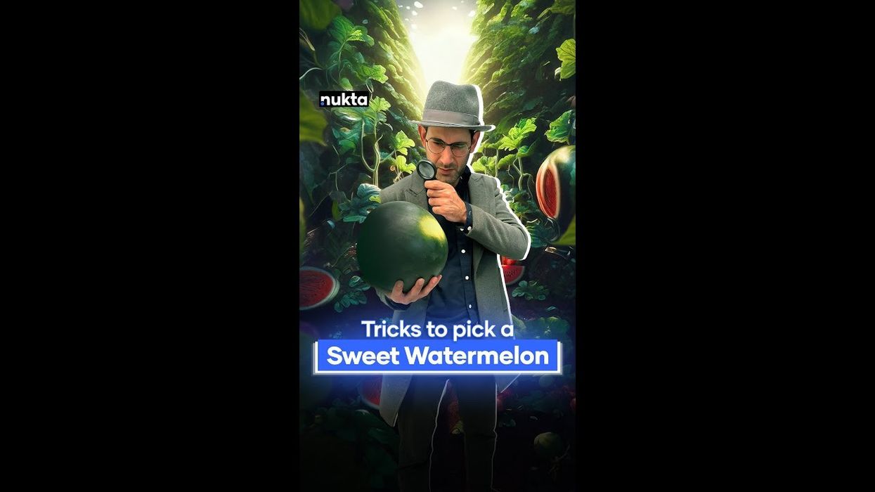 Hunt for the sweetest, juiciest watermelon