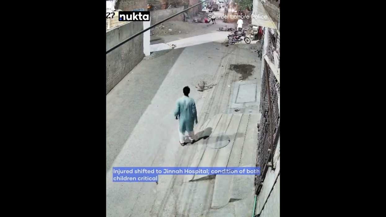 Pet lion mauls 3 in Pakistan, 2 children critically injured