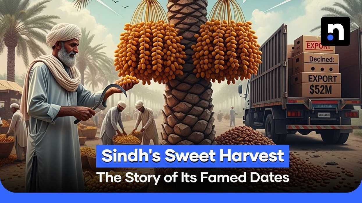 Inside Pakistan’s khajoor season: 600,000 tons, 300 varieties and a global story