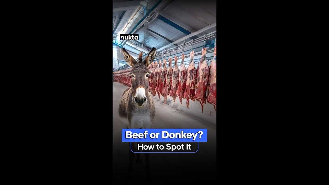 How do you spot donkey meat fraud?