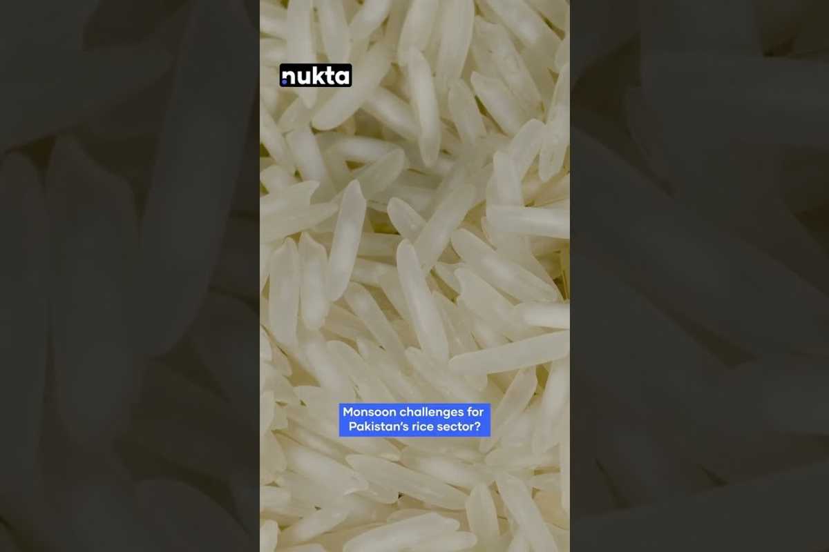 As US tariffs take effect, Pakistan and India's rice exporters battle for dominance