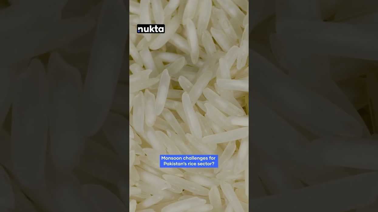 As US tariffs take effect, Pakistan and India's rice exporters battle for dominance