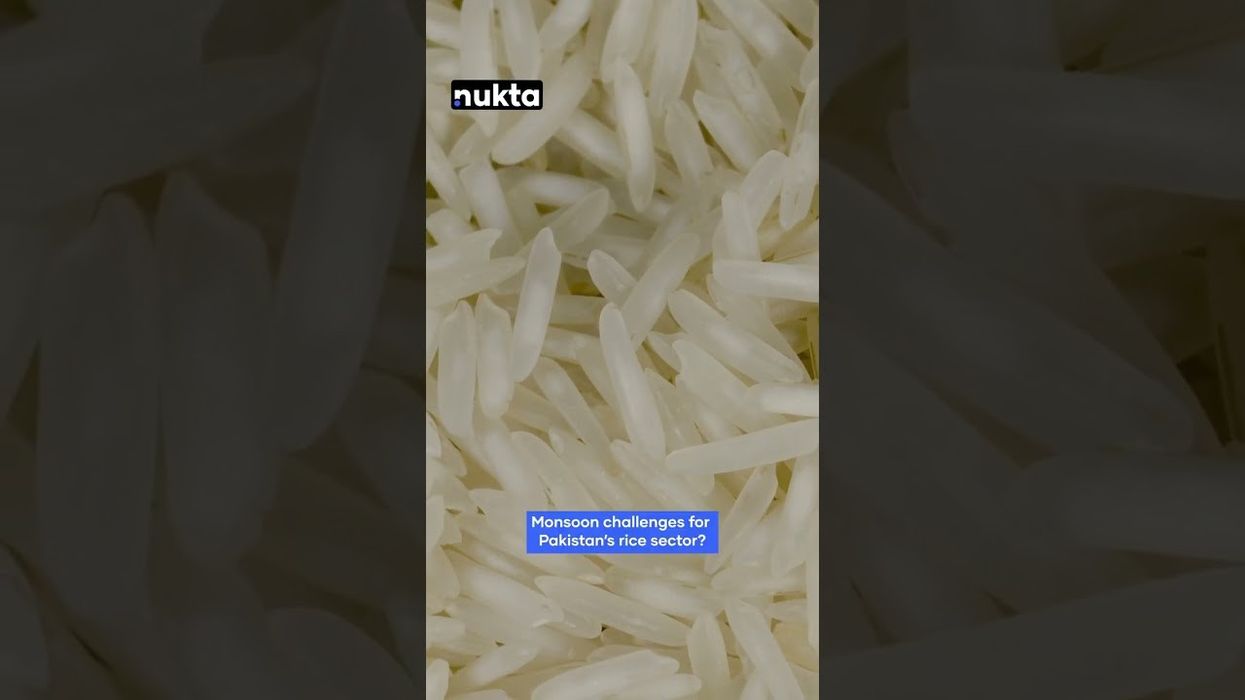 As US tariffs take effect, Pakistan and India's rice exporters battle for dominance