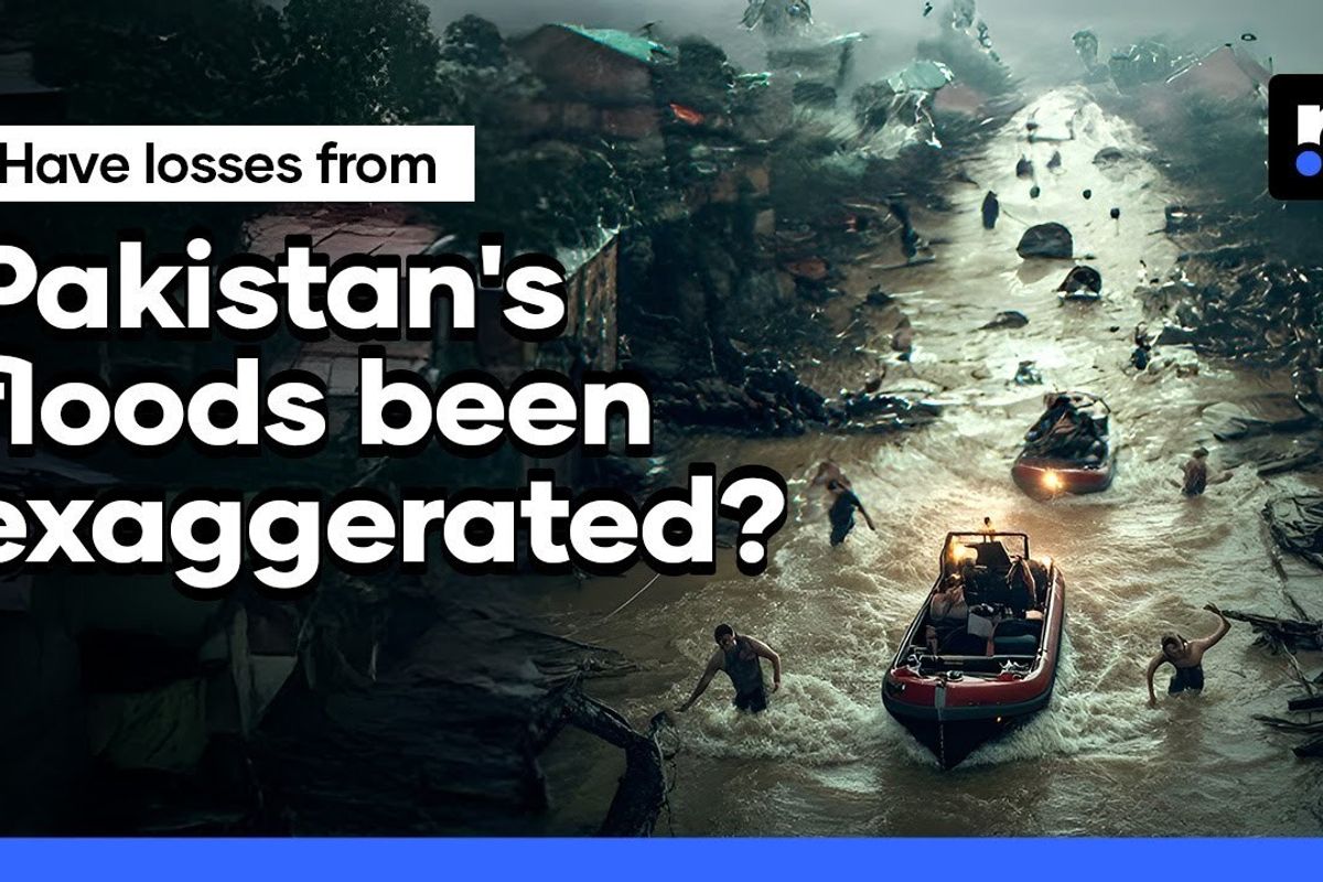 Pakistan floods and crops: Facts vs fearmongering