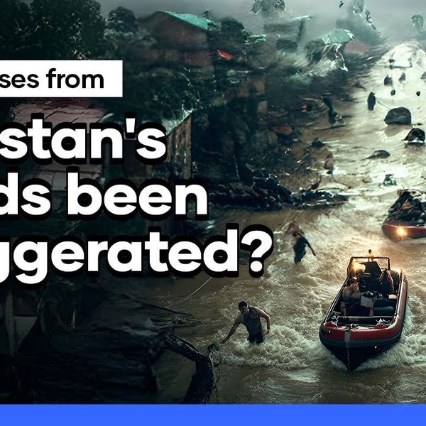 Pakistan floods and crops: Facts vs fearmongering