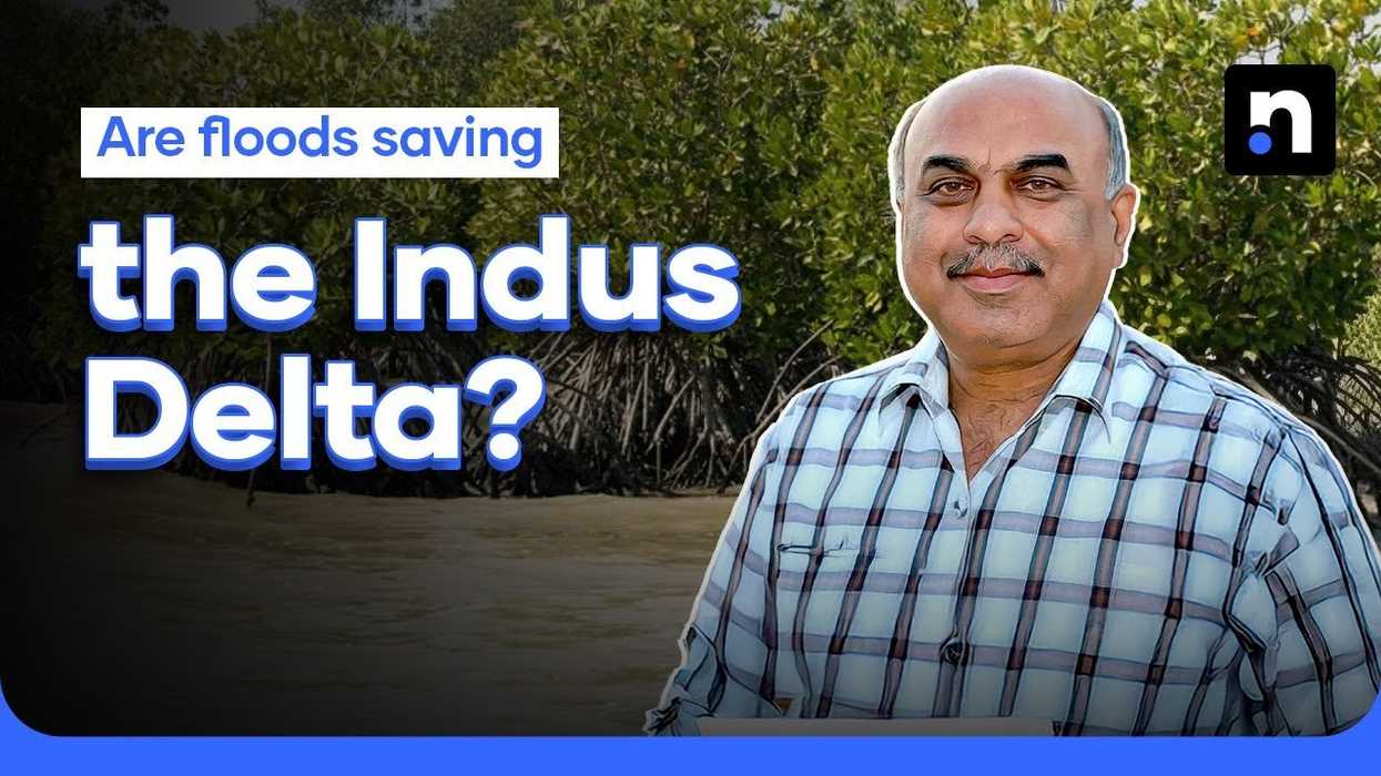 Are floods in Pakistan really saving the Indus delta?