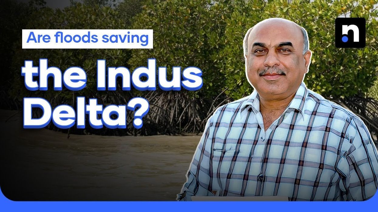 Are floods in Pakistan really saving the Indus delta?