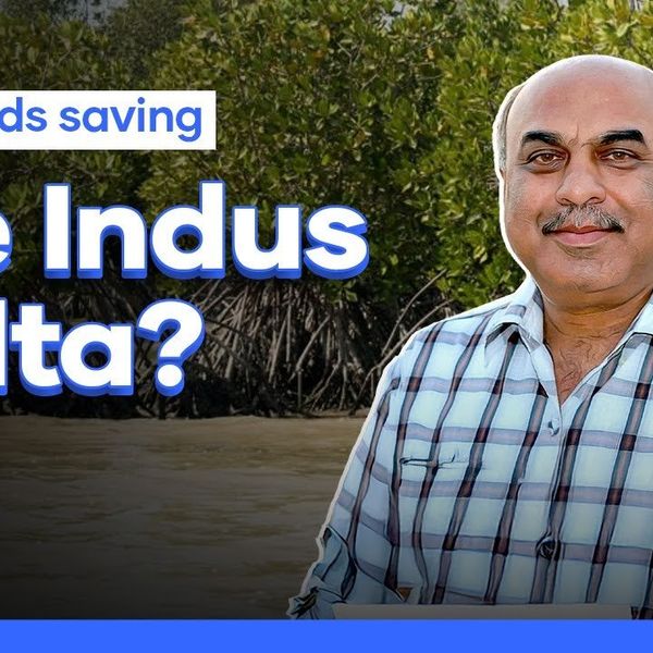 Are floods in Pakistan really saving the Indus delta?