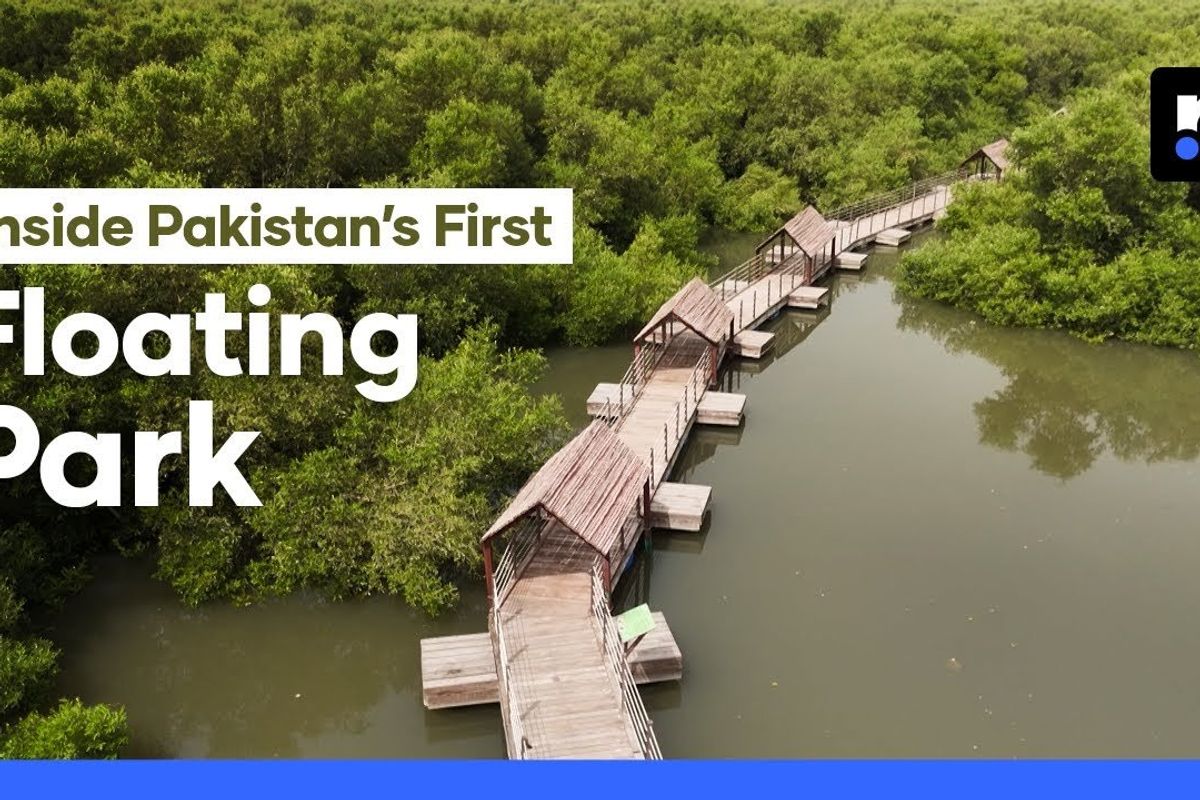 Pakistan’s first floating biodiversity park