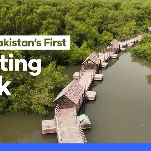 Pakistan’s first floating biodiversity park