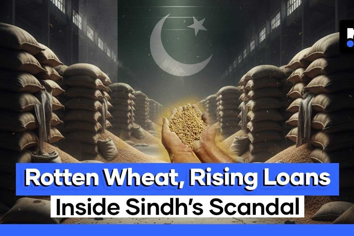 Sindh’s wheat scandal: Billions lost, hunger rising