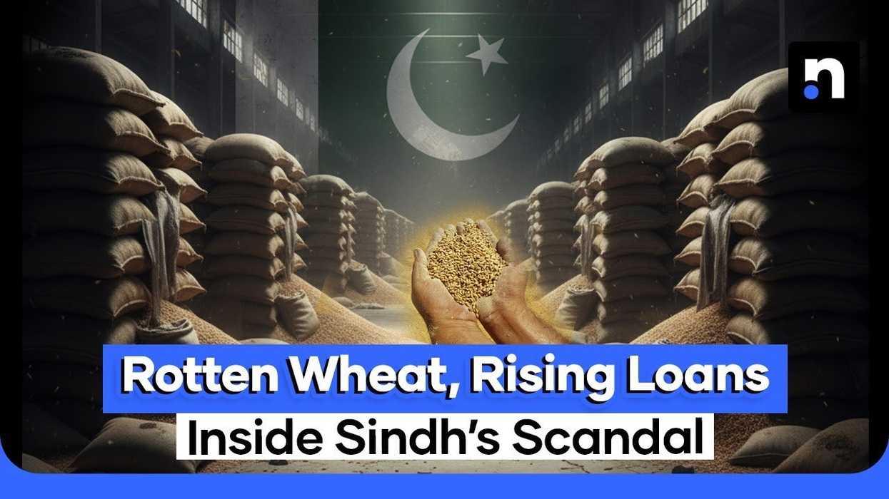 Sindh’s wheat scandal: Billions lost, hunger rising