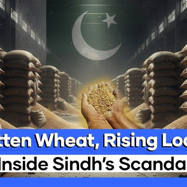 Sindh’s wheat scandal: Billions lost, hunger rising