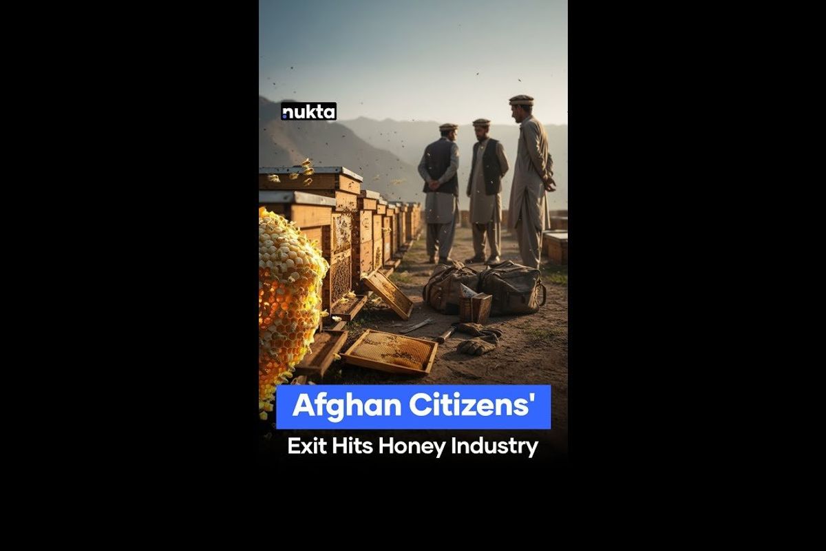 Pakistan fears loss of honey beekeeping craft with Afghans’ exit