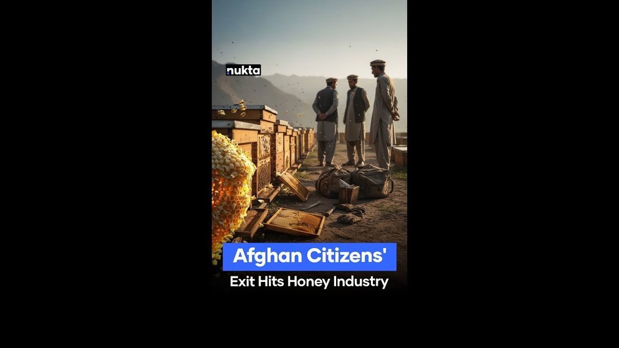 Pakistan fears loss of honey beekeeping craft with Afghans’ exit