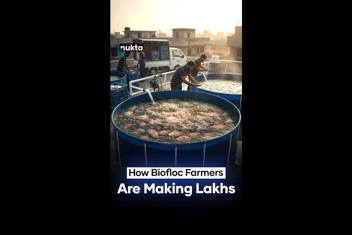 Biofloc farming in Pakistan: Small investment, big returns