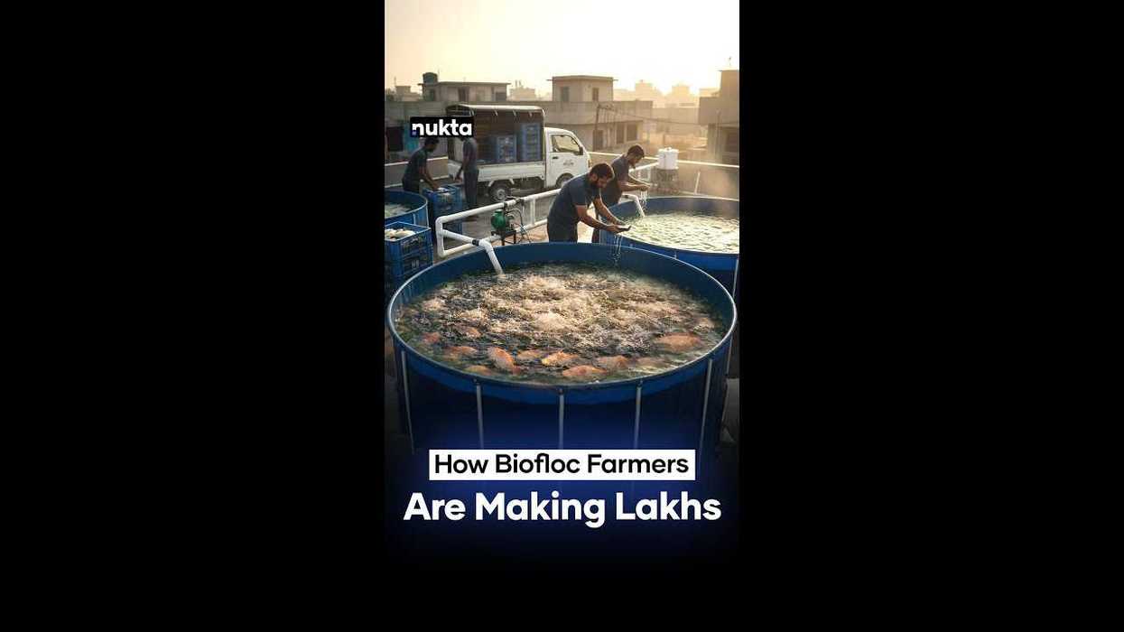 Biofloc farming in Pakistan: Small investment, big returns