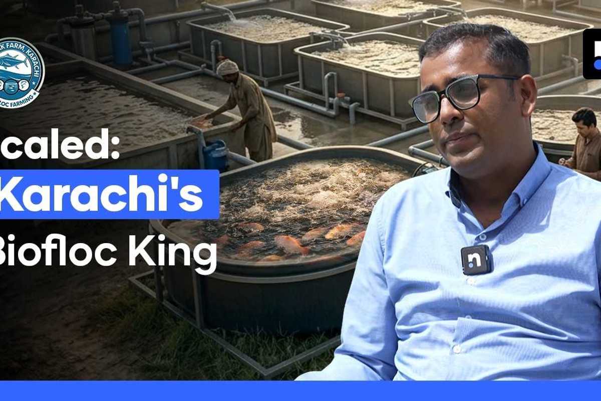 How a Karachi entrepreneur built a thriving biofloc fish farming business