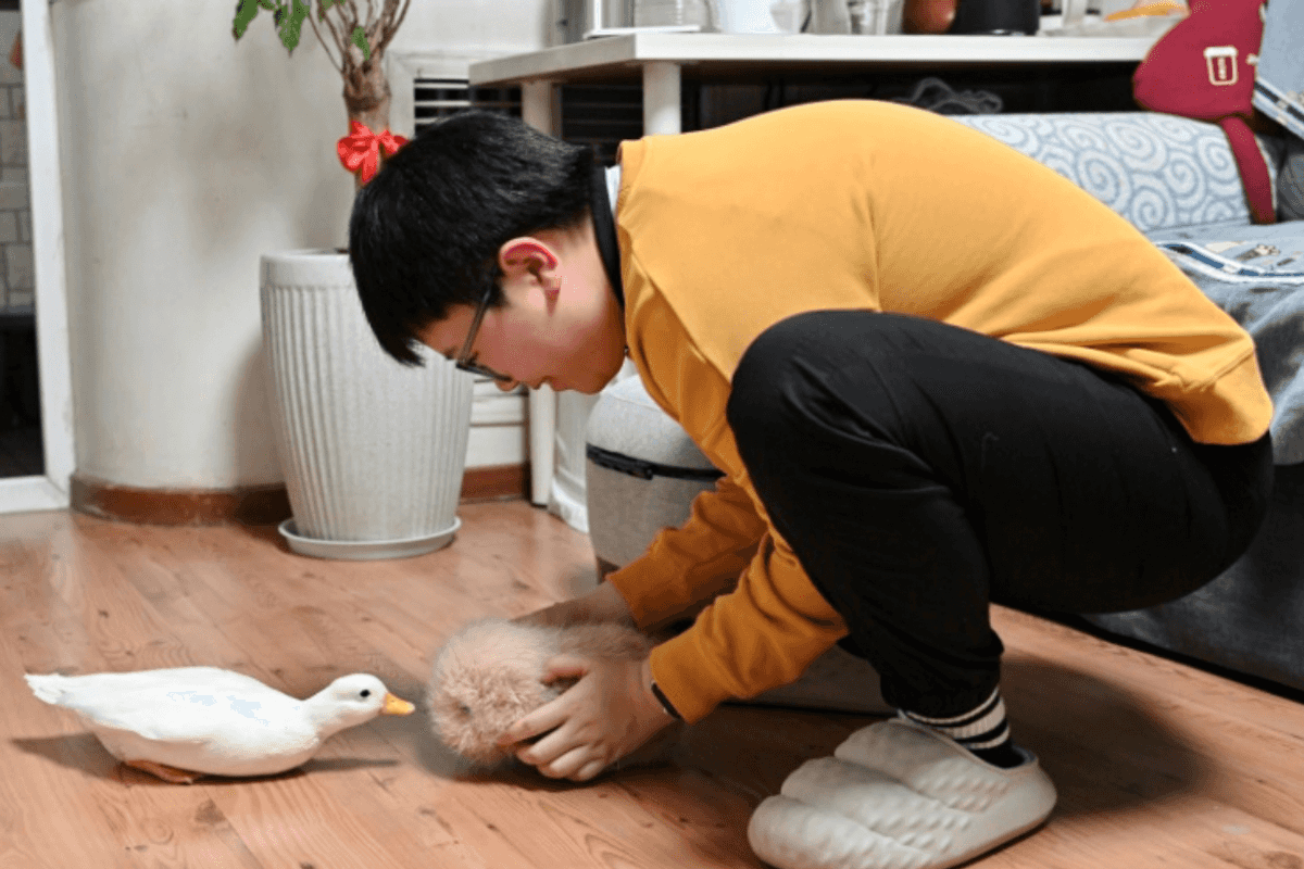 Young Chinese turn to AI pets for emotional relief